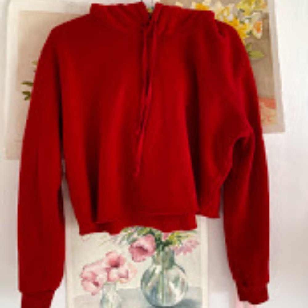 Brandy Melville Cropped Long Sleeve Sweatshirt